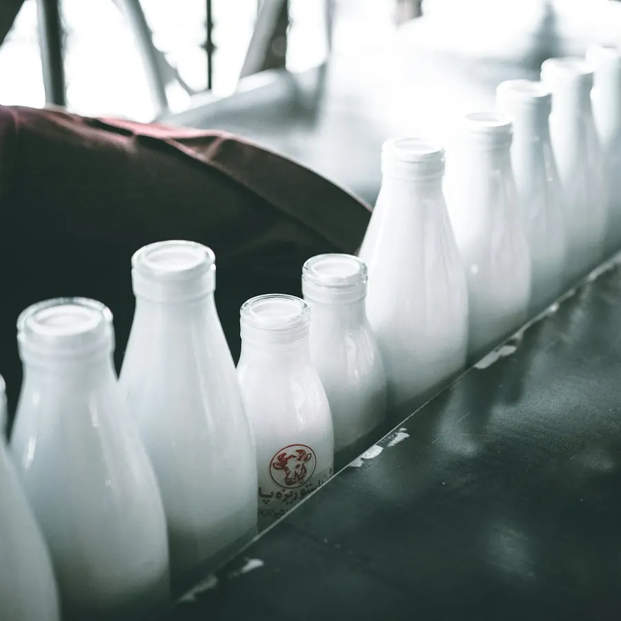 Whole milk
